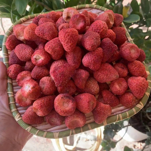 Fraises séchées de qualité supérieure, collation naturellement sucrée, provenant d'un fournisseur vietnamien - Product Image 1