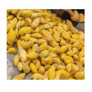 VENTE EN GROS DURIAN CONGELÉ DE HAUTE QUALITÉ FABRIQUÉ AU VIETNAM PRIX LE MOINS CHER PUR DURIAN FRAIS CONGELÉ À TEMPÉRATURE FROIDE - Product Image 1