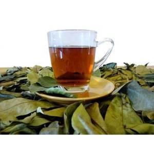 Hojas de Guanábana secas naturales, Guanábana, té para mujer, mezcla de hierbas naturales, Hojas de Guanábana orgánica 100% - Product Image 4