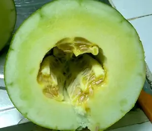 Vente en gros de haute qualité meilleur prix 100% naturel congelé Melon fruits expédition du Viet Nam