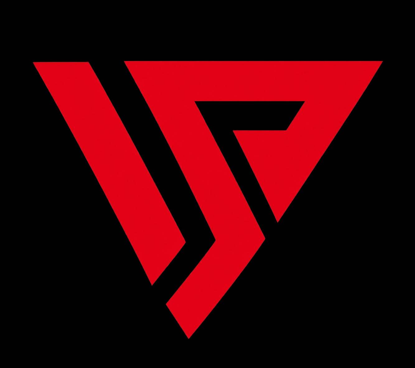 STRAIGHT VIEW SPORTS logo