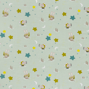 Tissu en popeline 100% coton biologique 40S avec impression en carton Tissu en popeline léger style sergé pour filles - Product Image 3