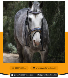 Brida Fleur Snaffle de edición limitada de alta calidad para productos de caballo plegados de Doma a precio mayorista - Product Image 3
