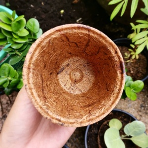 Pots de plantes en fibre de coco 100% matériau naturel et taille personnalisée du fabricant Eco2go Vietnam - Product Image 4