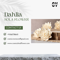 Bunga Dahlia Sola Organik Ramah Lingkungan Buatan Tangan, Laris Manis, Tren Terbaru, Grosir, Dekorasi Rumah untuk Acara Indoor/Outdoor