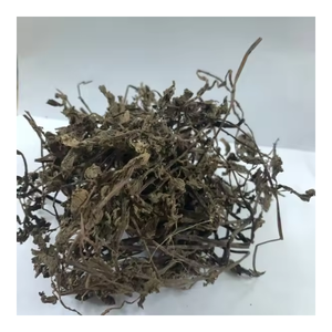 Grosir CHINENSIS PLATOSTOMA daun PALUSTRE/rumput JELLY/rumput kering JELLY NON GMO / + 84 903708802