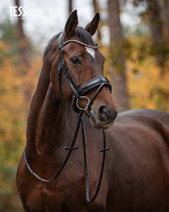 Snaffle Brida Especial Deluxe - Product Image 5