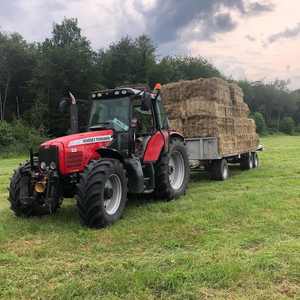 Tractor agrícola Massey Ferguson 291 165 135 390 290 y 385 4WD con caja de cambios central y componentes de bomba a la venta - Product Image 6