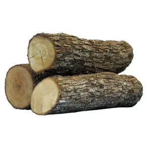 Wholesale Price High Quality For SALE Oak Wood Logs Oak Wood Logs Price Per Cubic Timber Wood Logs