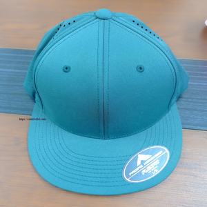 Gorra de Béisbol Deportiva con Logotipo Bordado en 3D Personalizado, 6 Paneles, 100% Algodón, Tela Impermeable, Cierre de Hebilla Dorada y Cobre, Unisex - Product Image 3