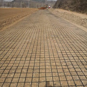 Biaxiaal Weven Warp Gebreide Polyester <span class=keywords><strong>Geogrid</strong></span> Voor Wegenbouw Opritten Lange Service Bestrating Keermuur Kunststof Hdpe - Product Image 5