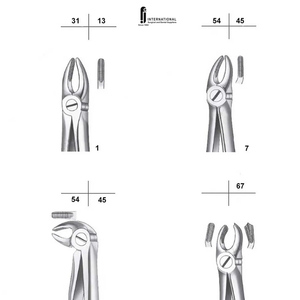 Kit de 10 Fórceps Dentales Manuales para Extracciones, de Acero Inoxidable de Alta Calidad, Reutilizables y Ligeros, Gran Venta - Product Image 5