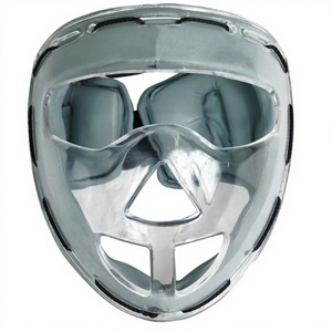 Casque de gardien de but de hockey sur gazon coussin intérieur confortable coque mate avec masque facial léger OEM - Product Image 2