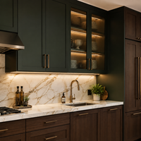 YIERHOME Soluciones de Gabinetes de Cocina de Lujo para Multifamiliares, Gabinetes Estilo Shaker para Desarrolladores de Apartamentos, Suministro Residencial al por Mayor