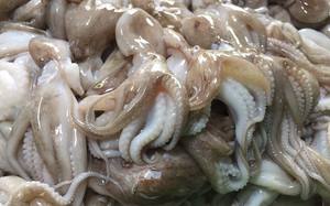 Premium Frozen <b>Octopus</b> From Vietnam Bulk Purchase with Competitive Wholesale Prices Quality Freshness Assured Box Packing - Product Image 6