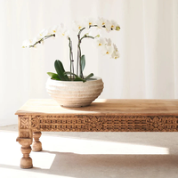 Table Basse Moderne de Luxe en Bois Massif Extensible et Convertible, Pliable, Couleur et Forme Personnalisables, pour Intérieur/Extérieur, Salon