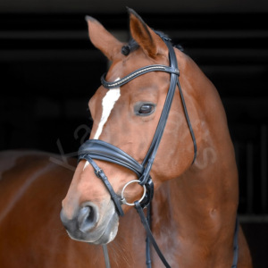 Brida de doma negra con banda curva plateada para cejas, banda para la nariz y tocado acolchado anatómicamente - Product Image 3