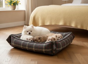 Lit pour animaux de compagnie convertible réglable de qualité supérieure Amistar pour chats et chiens de petite race, tissu Oxford durable, motif à carreaux - Product Image 5