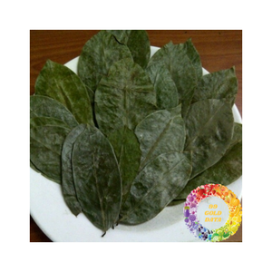 Feuilles de corossol séchées du Vietnam, naturelles et pures, feuilles propres, taille uniforme, arôme stable, feuilles de corossol séchées pour le marché de l'exportation - Product Image 1