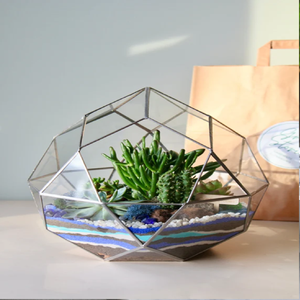 Terrario de cristal geométrico multifacético con diversas suculentas, llamativa maceta moderna. Disponible a precios mayoristas. - Product Image 1