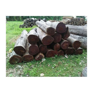 Bûches de bois de suar de qualité supérieure disponibles à l'achat en vrac à grande échelle - Product Image 1