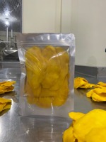 Droge Mango Hoge Kwaliteit Groothandel 100% Fruit Gedroogd Fruit Natuurlijk Bevroren Droog Fruit Gevriesdroogde Mango