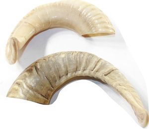 Yemenite Kosher ชุด kudu shofar ขัดครึ่งเงา shofar ดื่มฮอร์นมีสไตล์สัตว์ - Product Image 1