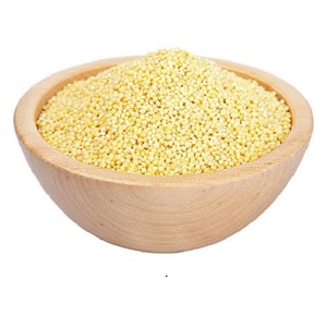 Semillas de Amaranto Crudas y Secas Sin Gluten de Tailandia, Mejor Precio de Exportación, 25 kg al por Mayor - Product Image 2