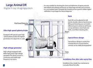 <span class=keywords><strong>Veterinario</strong></span> portátil móvil de rayos X de animales de alta definición digital Dr - Product Image 5