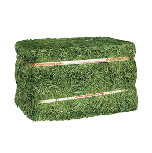 Granulés de foin d'alfalfa de qualité supérieure pour l'alimentation des chevaux, des bovins et des porcs - Product Image 1