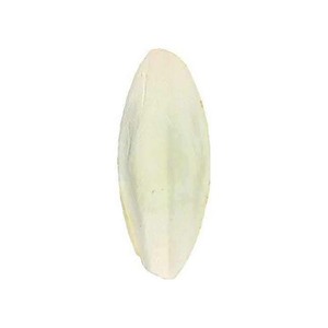 กระดูกปลาหมึกสำหรับสุขภาพนกที่ไว้ใจได้ - Product Image 5