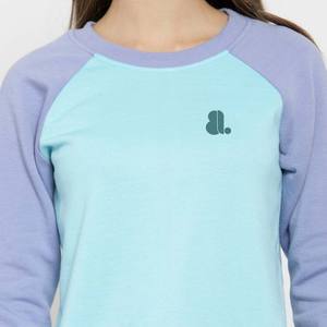 2026 venta al por mayor mujeres bordado Color bloque cuello redondo sudadera poliéster/algodón invierno gran tamaño bloque Panel - Product Image 5