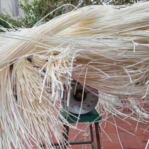 Material de núcleo de ratán de alta calidad \ Bastón de ratán natural para muebles y producción de mimbre - Product Image 6