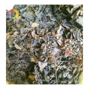 Poudre d'algues vertes à l'acide alginique et poudre d'algues Sargassum pour engrais agricoles, algues vertes Sargassum pour l'amélioration des sols - Product Image 6