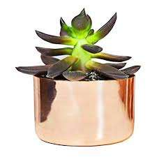 Maceta de flores de forma redonda de cobre con acabado pulido para decoración de jardín doméstico - Product Image 4