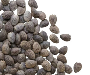 Precio de fábrica, la mejor calidad, sabrosa, gran oferta, SEMILLAS DE FRUTA DE LA PASIÓN SECAS, 5kg - Product Image 2