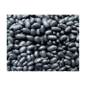 Frijoles negros de calidad superior al por mayor a precio barato Frijoles de riñón negros oscuros secos al por mayor Frijoles de riñón de forma larga - Product Image 5