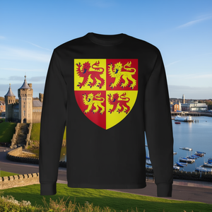 T-shirt a maniche lunghe con stemma del Galles, souvenir con bandiera di Cardiff - Product Image 3