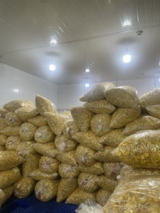 Jackfruits secos vietnamitas del vendedor caliente-Productos de frutas naturales de alta calidad Alimentos secos Fruta liofilizada Jaca seca crujiente - Product Image 5