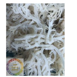 Algues marines EUCHEUMA COTTONII séchées de haute qualité pour l'exportation, provenant du Vietnam, source naturelle de varech de qualité supérieure pour l'alimentation - Product Image 1