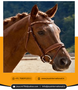 Brida de Cuero para Caballo de la Mejor Calidad 2022, Precio al por Mayor, Brida Personalizada con Mordaza Veneciana, Fabricante Ephemeral - Product Image 2