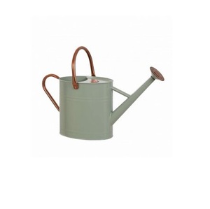 Fabricant indien d'arrosoir en métal en fer Design personnalisé fournisseur d'arrosoir de plantes vertes à bas prix - Product Image 6