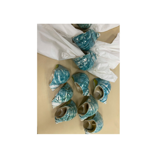 Conques vertes et blanches à usage décoratif du fabricant vietnamien 99 Gold Data for Home Shell Displays - Product Image 3