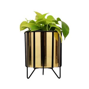 Elegante juego de macetas de metal soporte dorado 2 piezas hogar guardería decoración diseño jarrones aire fresco saludable cielo Jardín Plantas - Product Image 2