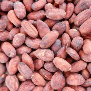 Frijoles de Cacao secos a granel | VIETNAM | Fermentados | Grado A | EXPORTACIÓN AL POR MAYOR - Product Image 5