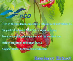 HGO Factory Direct Lieferung von reinem natürlichen Himbeer extrakt (Lebensmittel qualität) Spezifikation 10:1 (Verhältnis extrakt) - Product Image 5