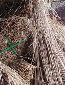 Bâtons de balai de noix de coco respectueux de l'environnement adaptés au jardin et au nettoyage intérieur - Product Image 4