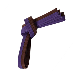 Ceinture de karaté professionnelle de haute qualité 100% coton nouvel et élégant équipement d'arts martiaux léger dans toutes les couleurs - Product Image 6