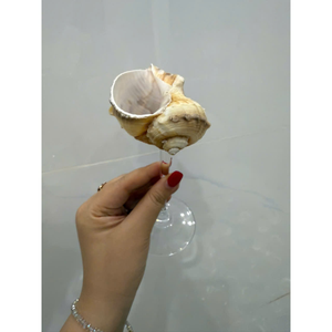 Cadeau de Saint Valentin faveurs de mariage | Coupe de conque faite à la main Martini Shell verre à vin conque coquille gobelet 2025 coquillages créatifs artisanat - Product Image 6