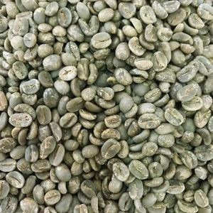 Granos de Café Verde Robusta de Vietnam, Tamaño 18, Certificación USDA, Alta Calidad, Exportación a Granel, Marca TNFOOD, Grado G1/G2, ISO 22000 - Product Image 1